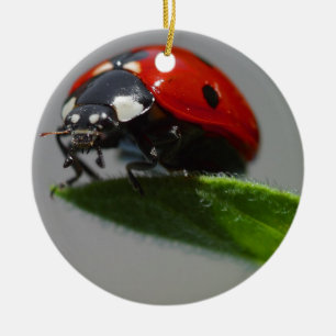 Ladybug Älskare Art Julgransprydnad Keramik