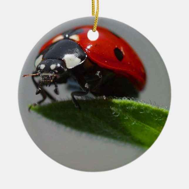 Ladybug Älskare Art Julgransprydnad Keramik (Framsidan)