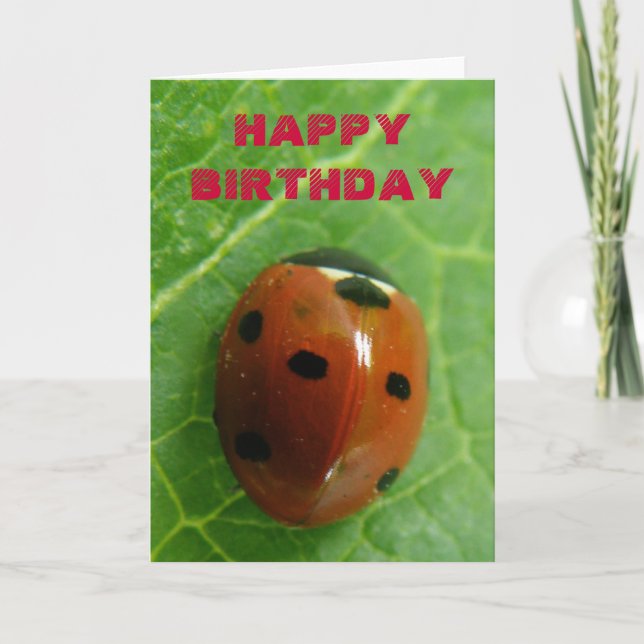 Ladybug-Anpassadets hälsningskort Kort (Framsida)