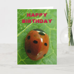Ladybug-Anpassadets hälsningskort Kort