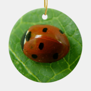 Ladybug Anpassningsbar Birthday Julgransprydnad Keramik