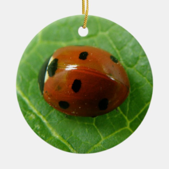 Ladybug Anpassningsbar Birthday Julgransprydnad Keramik (Framsidan)