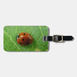 Ladybug Anpassningsbar Luggage Tag Bagagebricka
