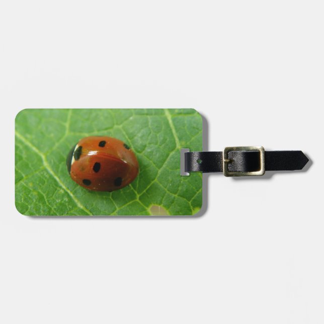 Ladybug Anpassningsbar Luggage Tag Bagagebricka (Horisontell Framsida)