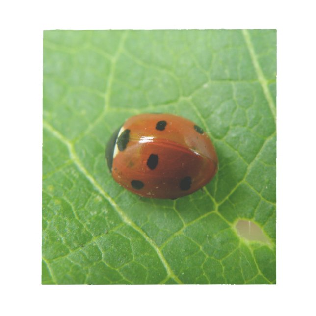 Ladybug Anteckningsblock (Framsida)