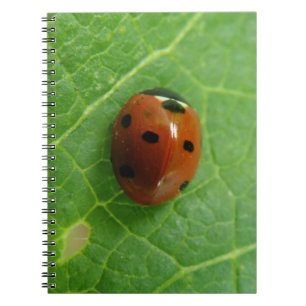 Ladybug anteckningsbok med spiral