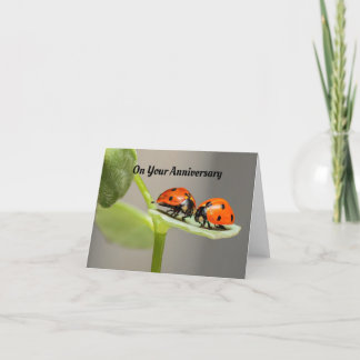 Ladybug-årsjubileum-gratulationskort Kort