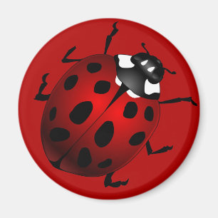 Ladybug Art Magnet Ladybird Ladybug Fridge Magnets