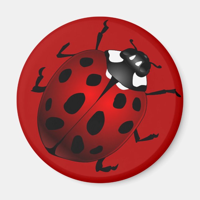 Ladybug Art Magnet Ladybird Ladybug Fridge Magnets (Framsidan)