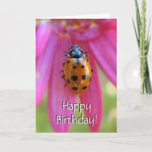 Ladybug Birthday Card Kort