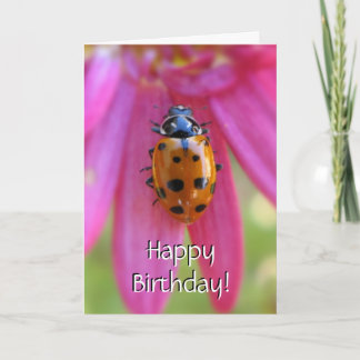 Ladybug Birthday Card Kort