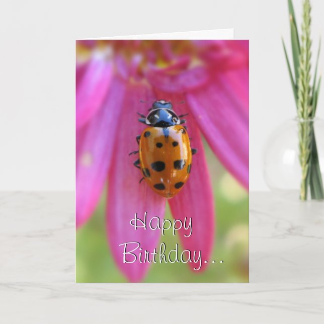 Ladybug Birthday Card Kort (Framsida)