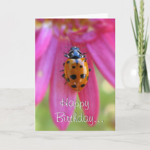Ladybug Birthday Card Kort
