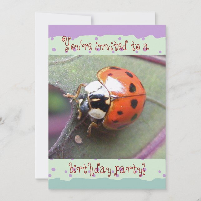 Ladybug Birthday-inbjudan Inbjudningar (Framsida)