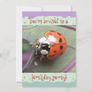 Ladybug Birthday-inbjudan Inbjudningar
