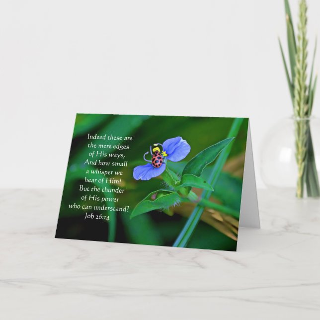 Ladybug Blue Scripture Card-jobb 26:14 Kort (Framsida)