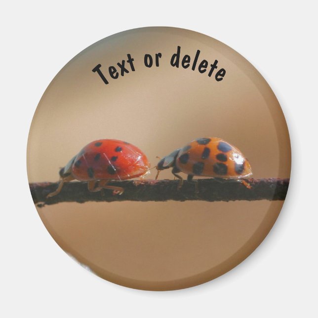 Ladybug Buddies Nature Personlig Magnet (Framsidan)