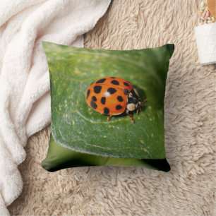 Ladybug Close-Nature Kudde