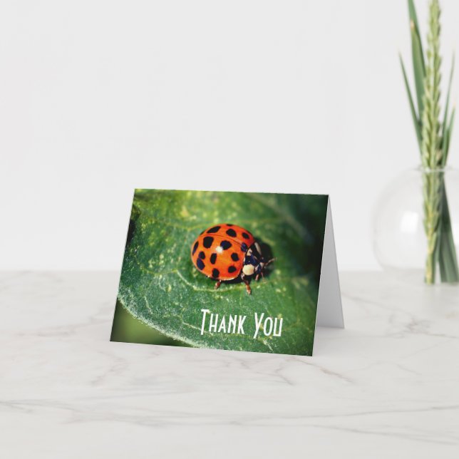 Ladybug Close Nature Tack you Card (Framsida)