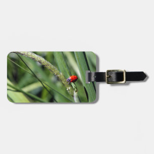 Ladybug (Coccinellidae) Bagagebricka