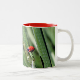 Ladybug (Coccinellidae) Två-Tonad Mugg