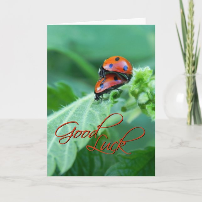 Ladybug Couple - Lycka till Card Kort (Framsida)