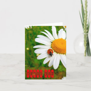 Ladybug & Daisy Tack Kort