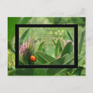 Ladybug Dikt Postcard Vykort