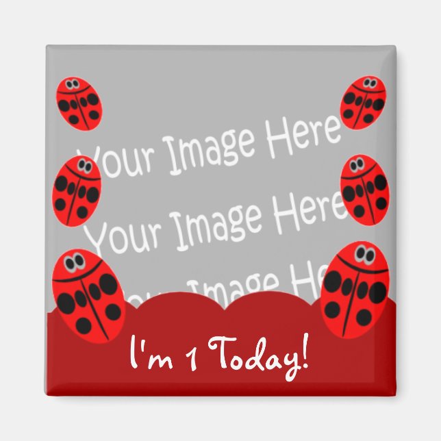 Ladybug First Birthday Photo Magnet Party favors (Framsidan)