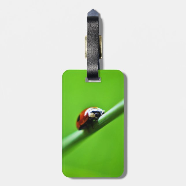 Ladybug-foto Bagagebricka (Baksidan Lodrät)