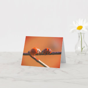 Ladybug Friends Nature Note Card Kort