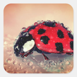 Ladybug Fyrkantigt Klistermärke