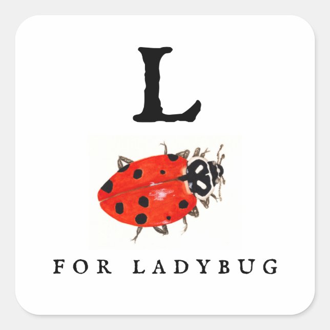 Ladybug Fyrkantigt Klistermärke (Framsida)