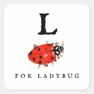 Ladybug Fyrkantigt Klistermärke
