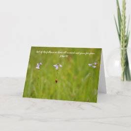 Ladybug Grace Scripture Card John 1:16 Kort