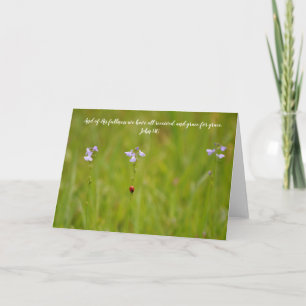 Ladybug Grace Scripture Card John 1:16 Kort