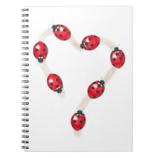 Ladybug Heart - bärbar dator Anteckningsbok