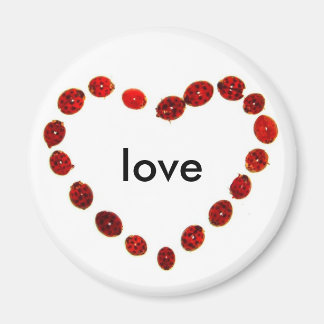 Ladybug Heart Kärlek Magnet