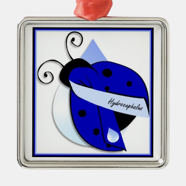 Ladybug Hydrocephalus Ornament (Framsidan)
