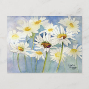 Ladybug i Daisy Vykort