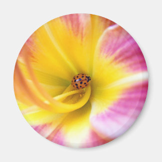 Ladybug i Lilly Magnet