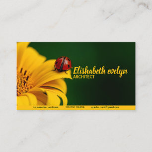 ladybug insekt ladybird beetle visitkort