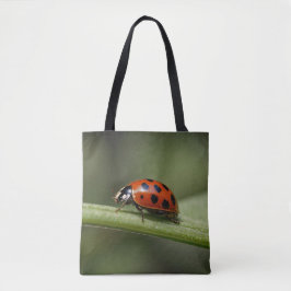 Ladybug Insekt Tygkasse