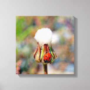 Ladybug insekt vår grönt Red Söt miljö C Canvastryck