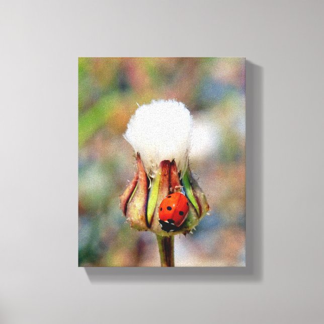 Ladybug insekt vår grönt Red Söt miljö C Canvastryck (Framsida)