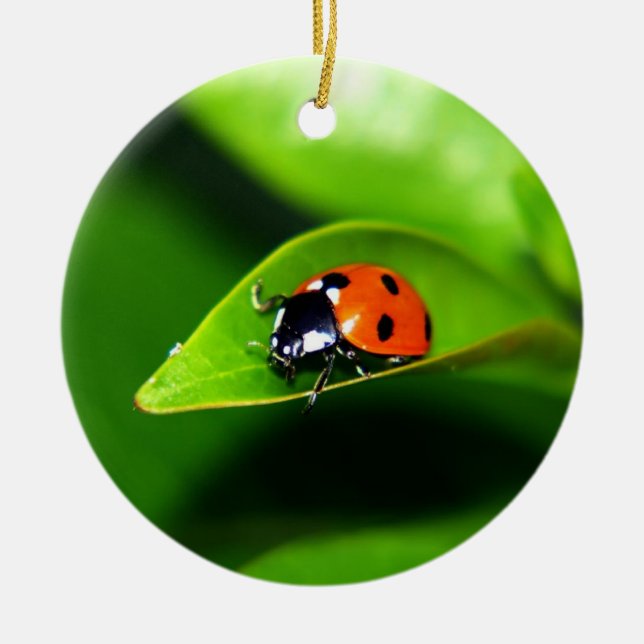 Ladybug Julgransprydnad Keramik (Framsidan)