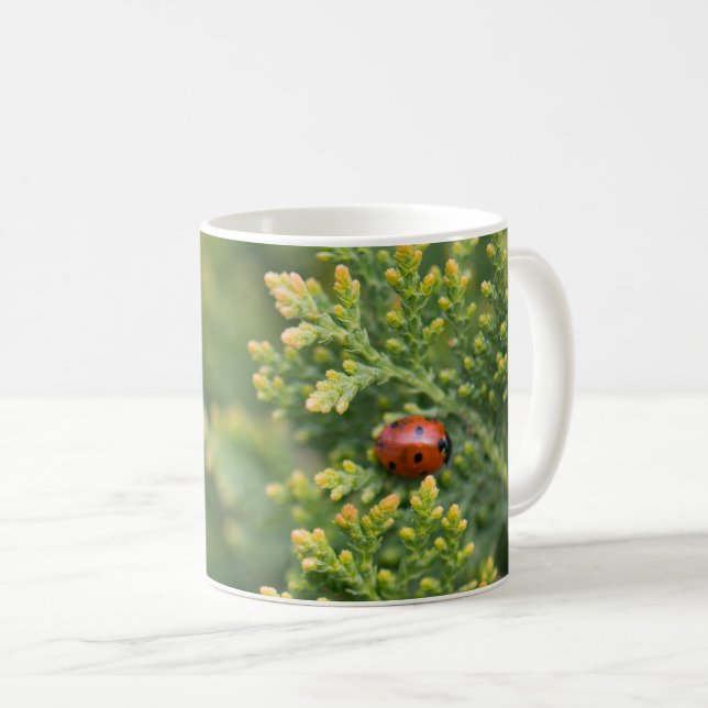 Ladybug Kaffemugg (Framsida höger)