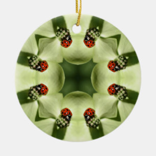 Ladybug Kaleidoscope Nature Ornament