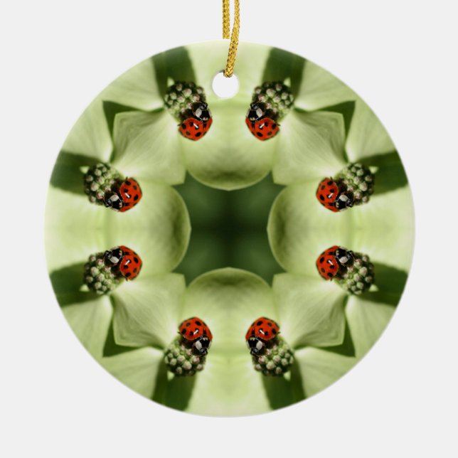 Ladybug Kaleidoscope Nature Ornament (Framsidan)