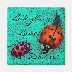 LADYBUG KÄRLEK DANCE MAGNET